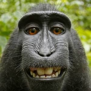 Meet your Posher, Nicholas